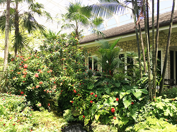 Fairchild Tropical Botanical Explorar con los niños este jardín de mariposas en Miami será una experiencia mágica Garden explorar con los ninos Miami Moms Blog