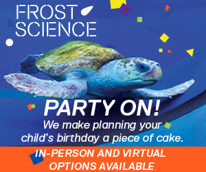 300x250-birthday-partyad