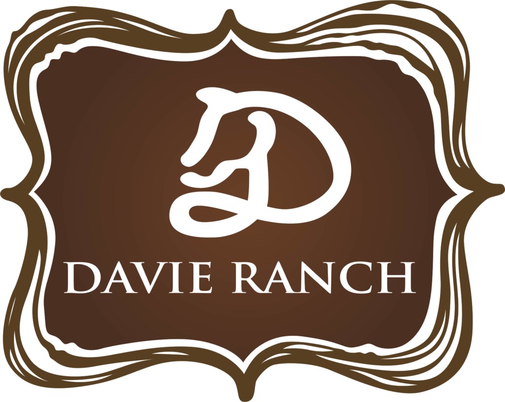 Davie Ranch Miami Moms Blog Party Planning Guide Davie Ranch Miami Moms Blog Party Planning Guide