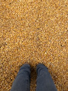 Burr's Berry Farm: Enjoy So Much More than Pumpkins