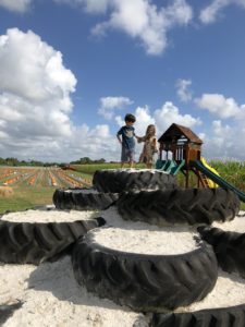 Burr's Berry Farm: Enjoy So Much More than Pumpkins