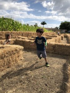 Burr's Berry Farm: Enjoy So Much More than Pumpkins