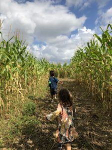 Burr's Berry Farm: Enjoy So Much More than Pumpkins