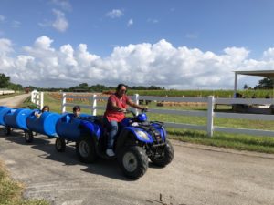 Burr's Berry Farm: Enjoy So Much More than Pumpkins