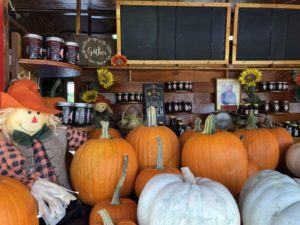 Burr's Berry Farm: Enjoy So Much More than Pumpkins