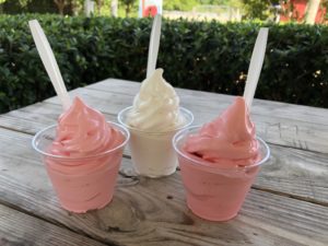 Burr's Berry Farm: Enjoy So Much More than Pumpkins