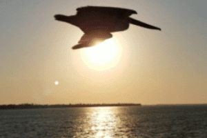 Sending Gratitude Everywhere Marielena Aguilar Gratitude Alphabet: Expressing Thanksgiving From A to Z Miami Moms Blog