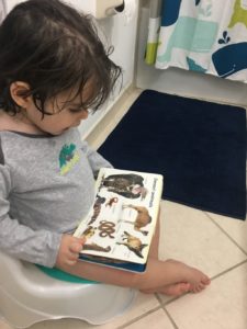 Image: A little boy tries a potty