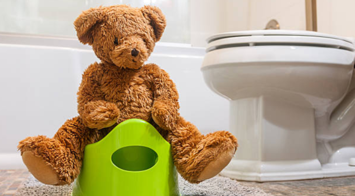 Image: A teddy bear sitting on a toddler potty