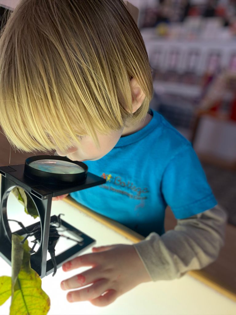 sebastian insect Bottega Child Development Center: An Oasis of Learning Here in Miami Lynda Lantz Contributor Miami Moms Blog