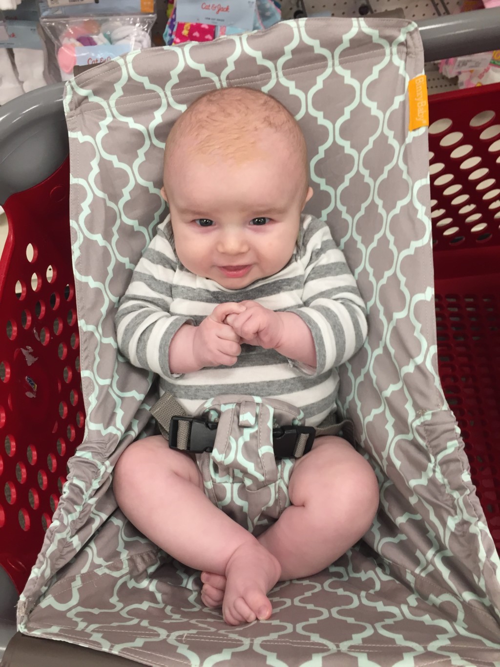 The Solution to Shopping with Babies&nbsp;
