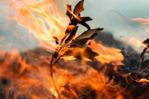 alfred-kenneally-1455308-unsplash