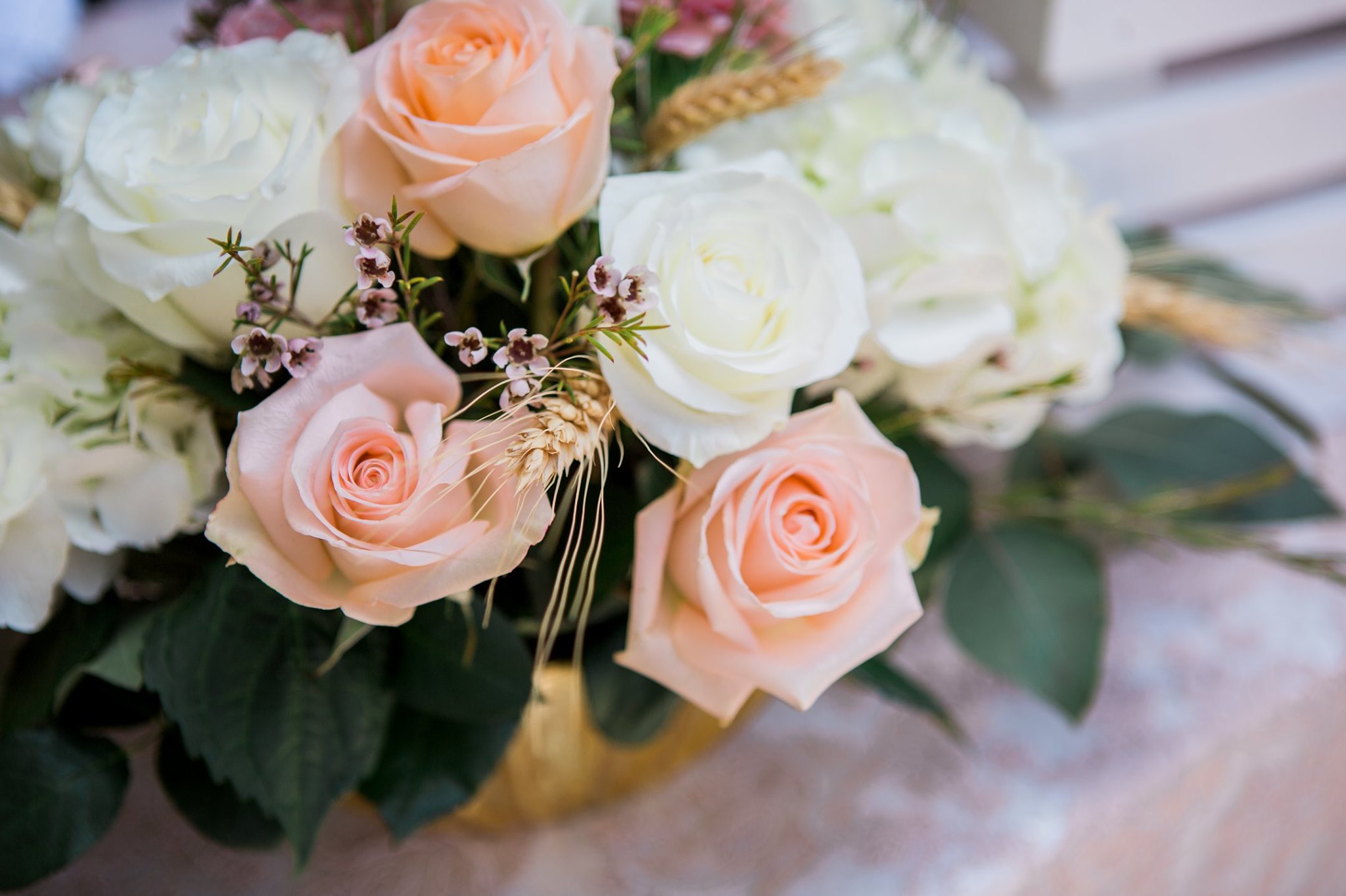 miami moms blog bloom