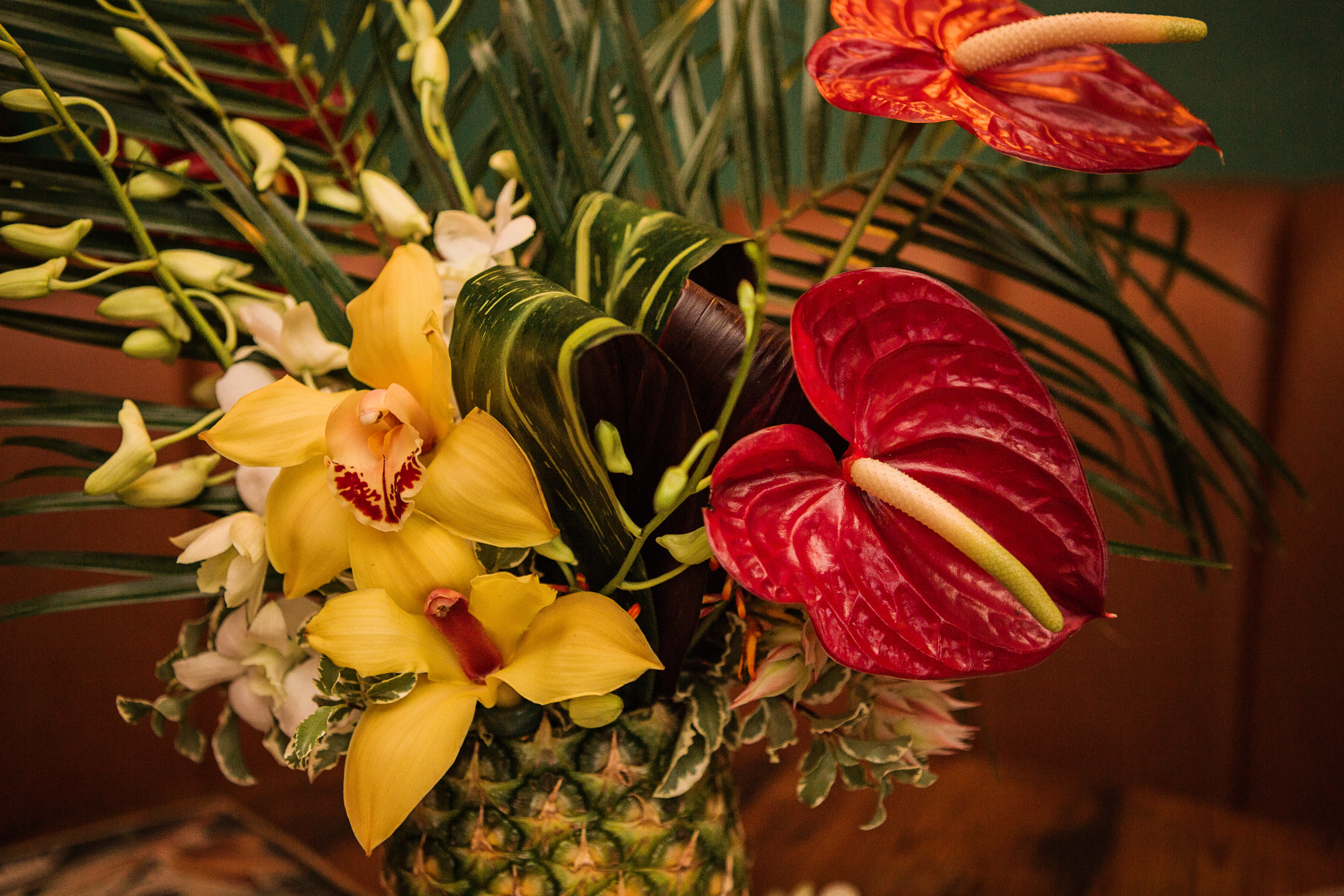 miami moms blog ball and chain birthday bash