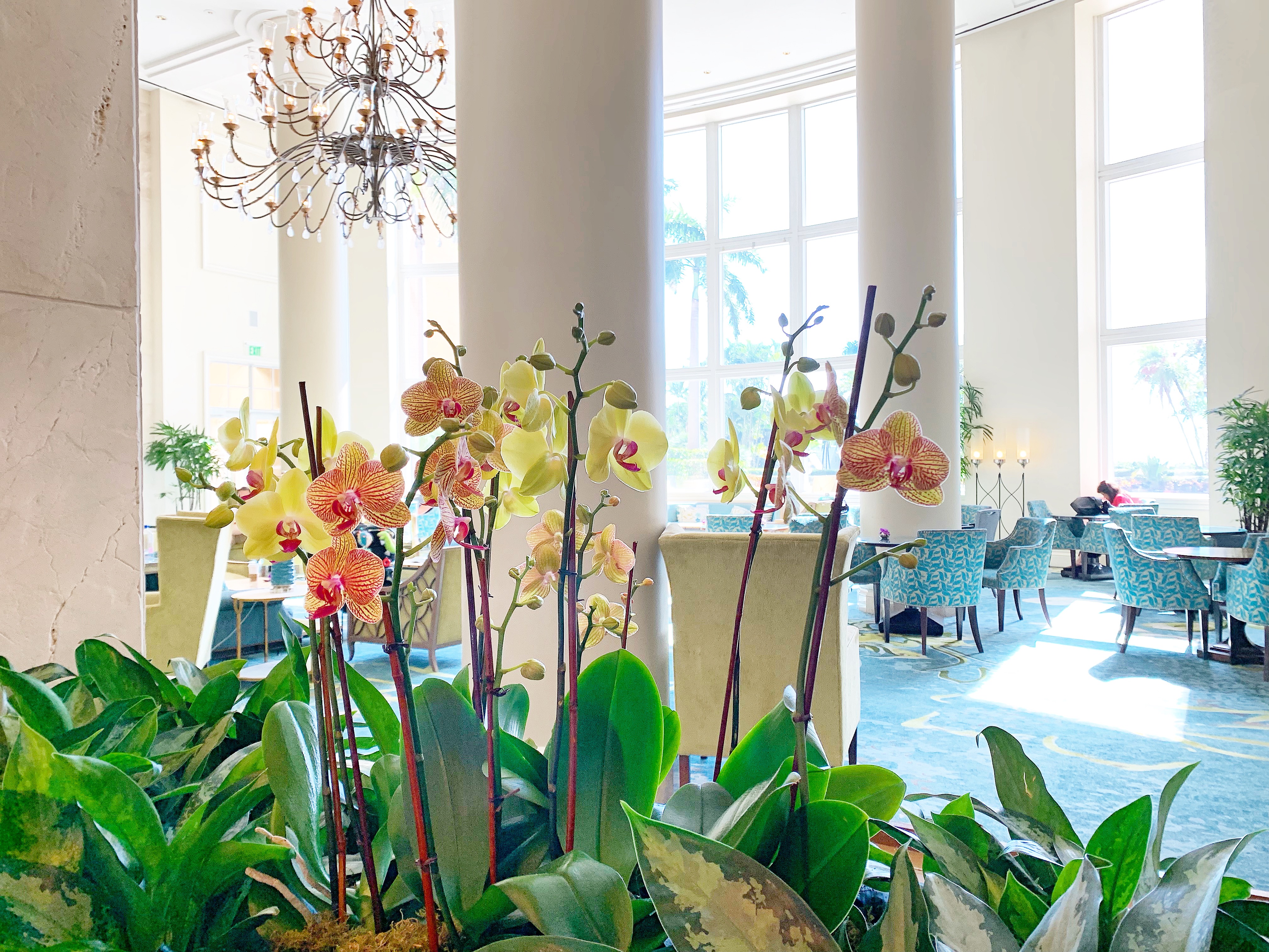 ritz Carlton key biscayne miami moms blog 