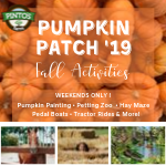 Pintos Farm pumpkin patch miami moms blog fall guide events activities Pintos Farm pumpkin patch miami moms blog fall guide events activities