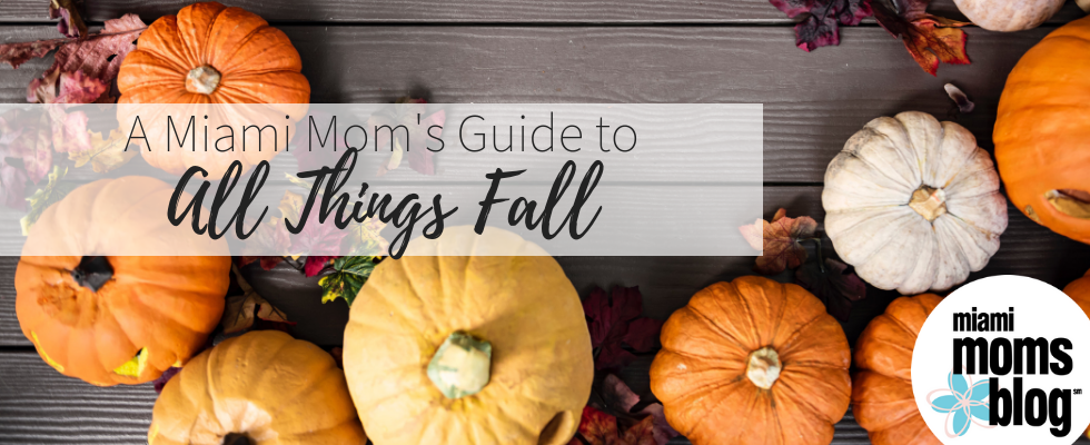 miami moms blog fall guide pumpkin patches