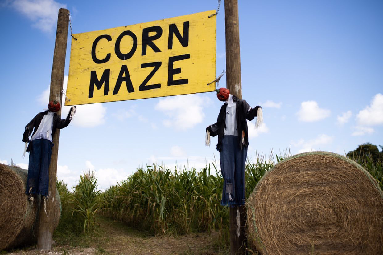 Corn Maze Dacia Wiegandt Contributor Miami Moms Blog