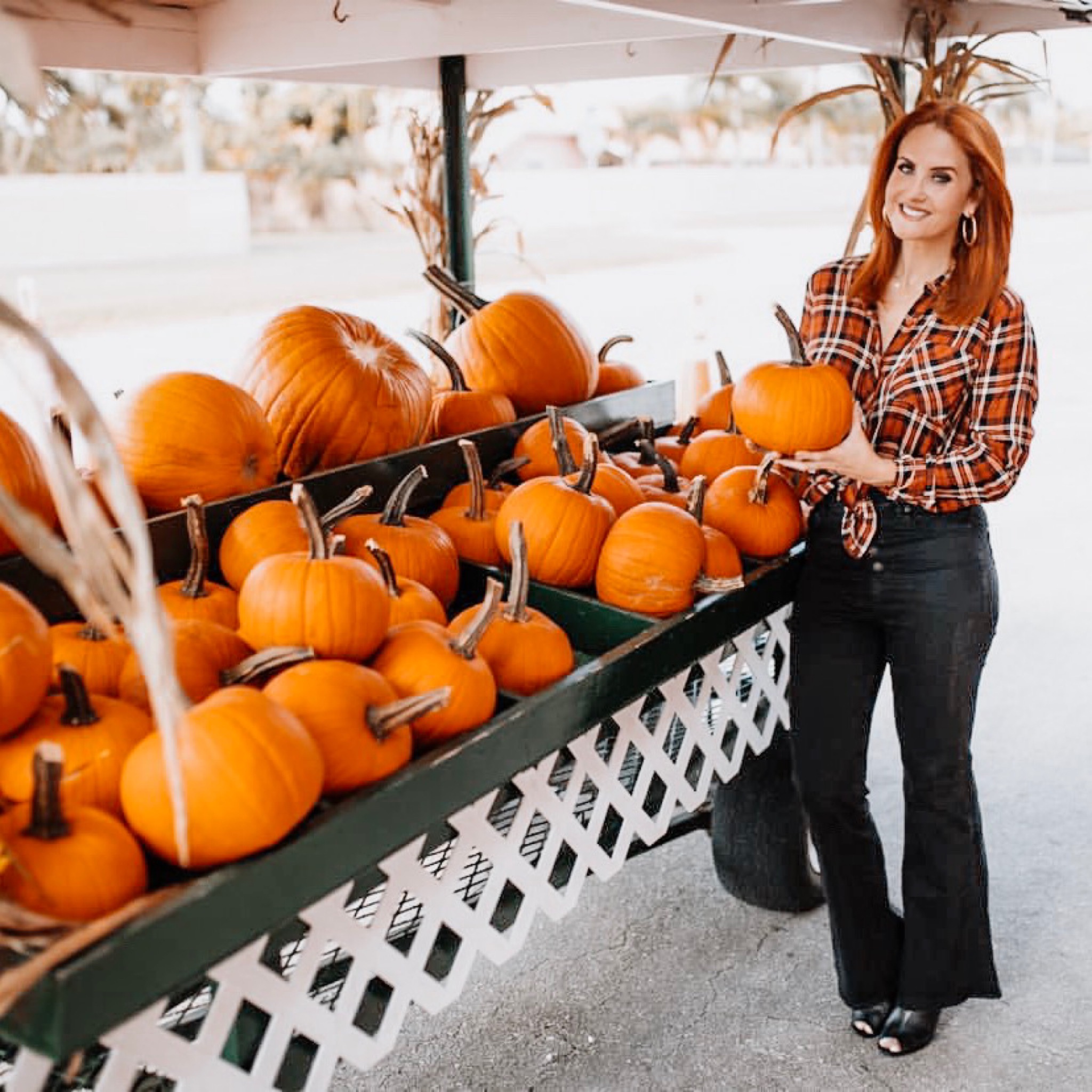 Happy Fall Ya'll! Experiencing the Season Here in Miami Dacia Wiegandt Contributor Miami Moms Blog