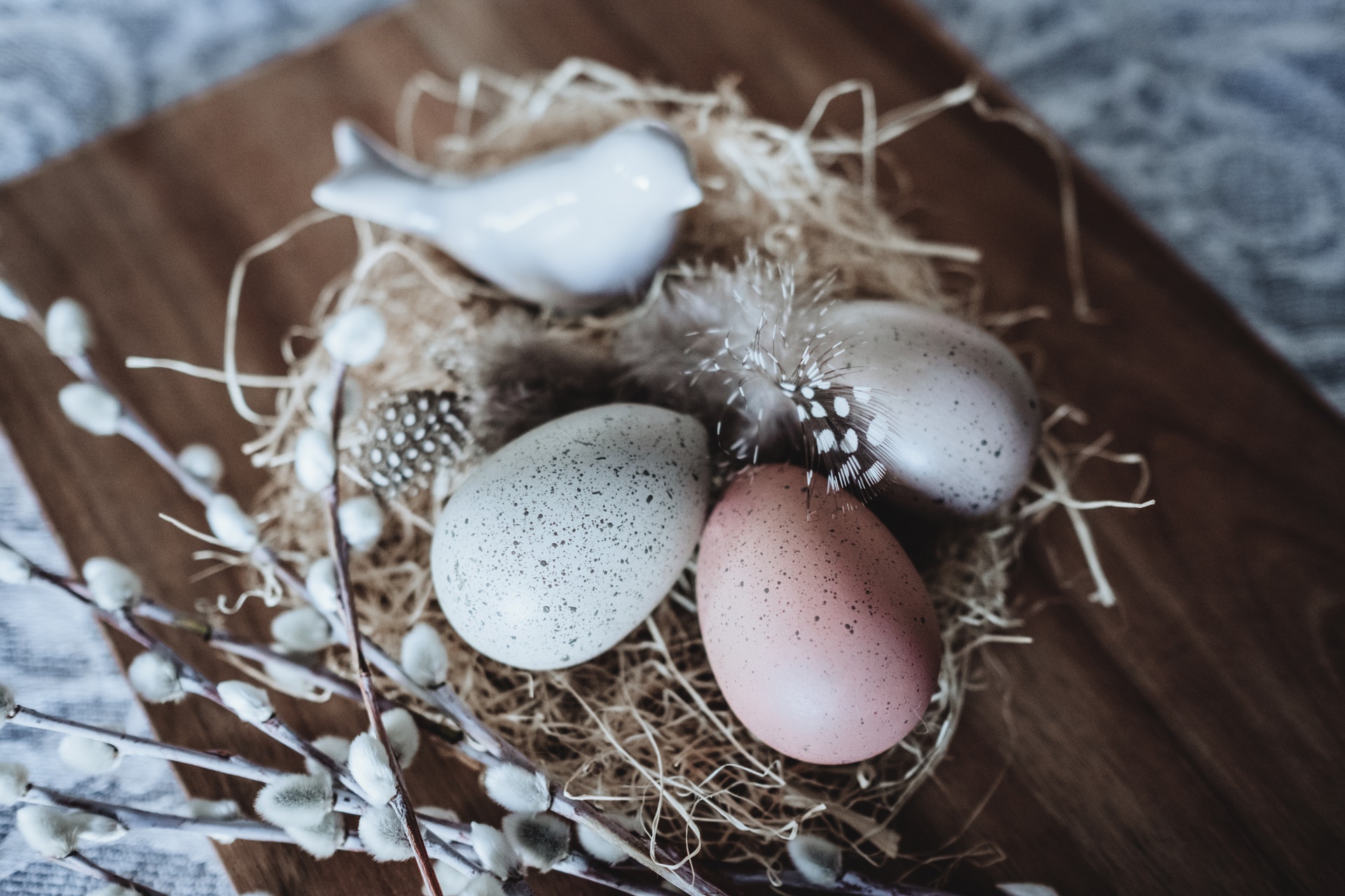 Tip-Toeing Towards an Empty Nest: Questions & Unexpected Answers Becky Gonzalez Contributor Miami Moms Blog