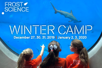 Winter Camps & Workshops Phillip and Patricia Frost Museum of Science Winter Camp The 2019 Ultimate Guide to Holiday Events and Activities in Miami Miami Moms Blog Winter Camps & Workshops Phillip and Patricia Frost Museum of Science Winter Camp The 2019 Ultimate Guide to Holiday Events and Activities in Miami Miami Moms Blog