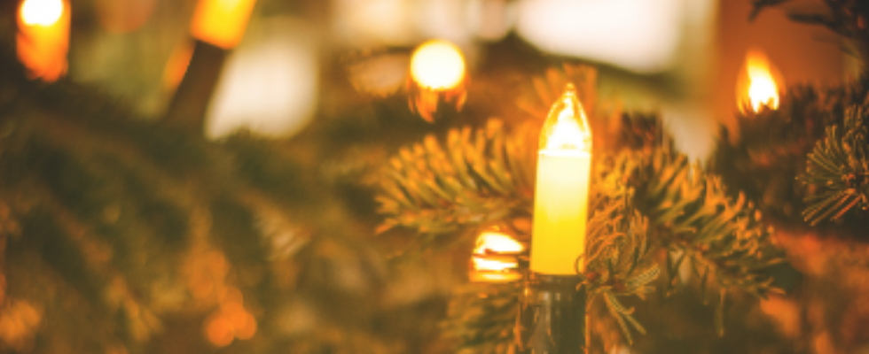 Tree Lightings & Holiday Events The 2019 Ultimate Guide to Holiday Events & Activities in Miami Miami Moms Blog