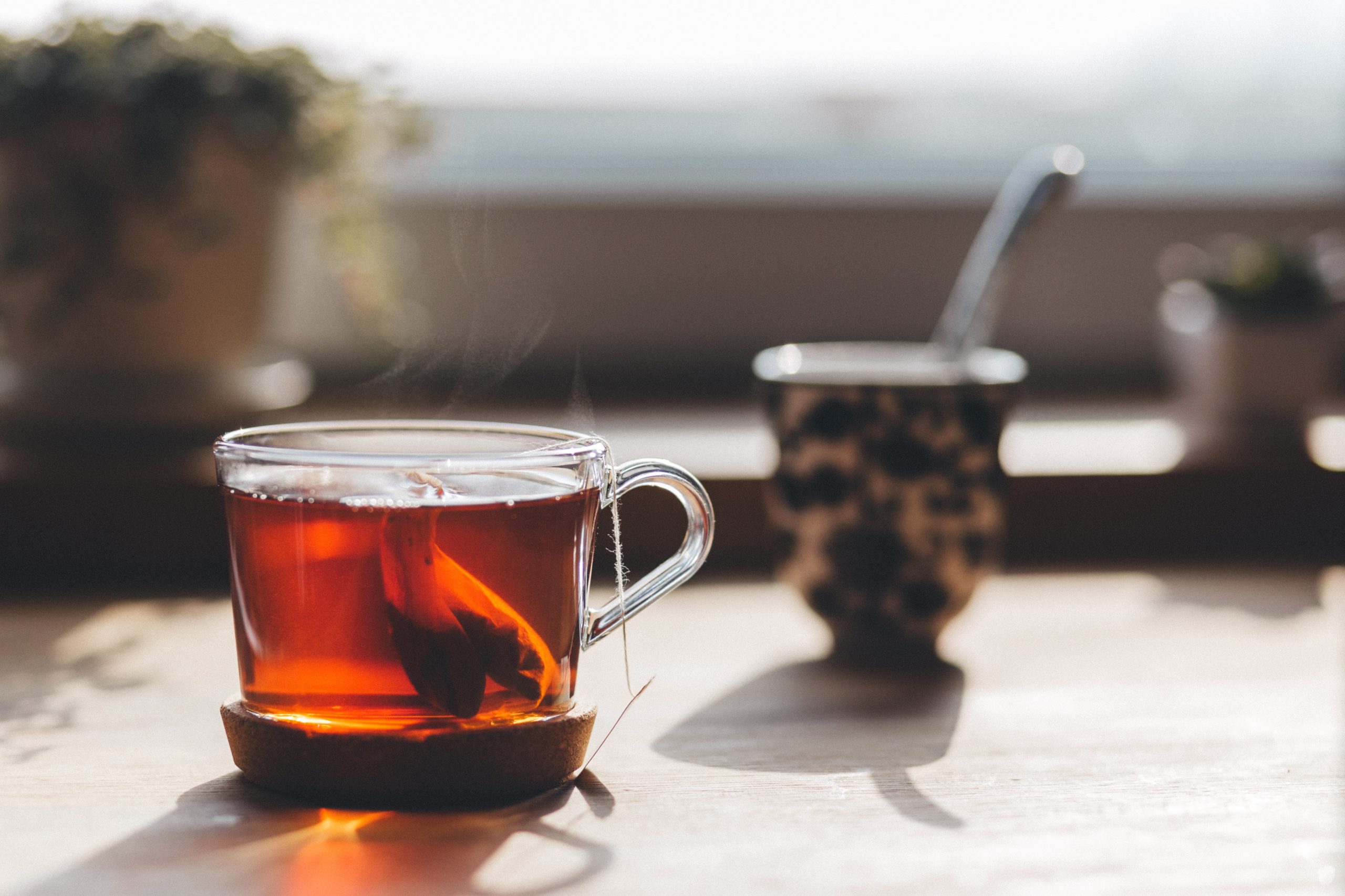 Tea Winter in South Florida: How to Keep the Whole Family Healthy Gabriela Morales Contributor Miami Moms Blog