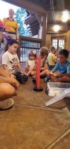 Disney's Fort Wilderness Resort and Campground: A Must-See Resort 