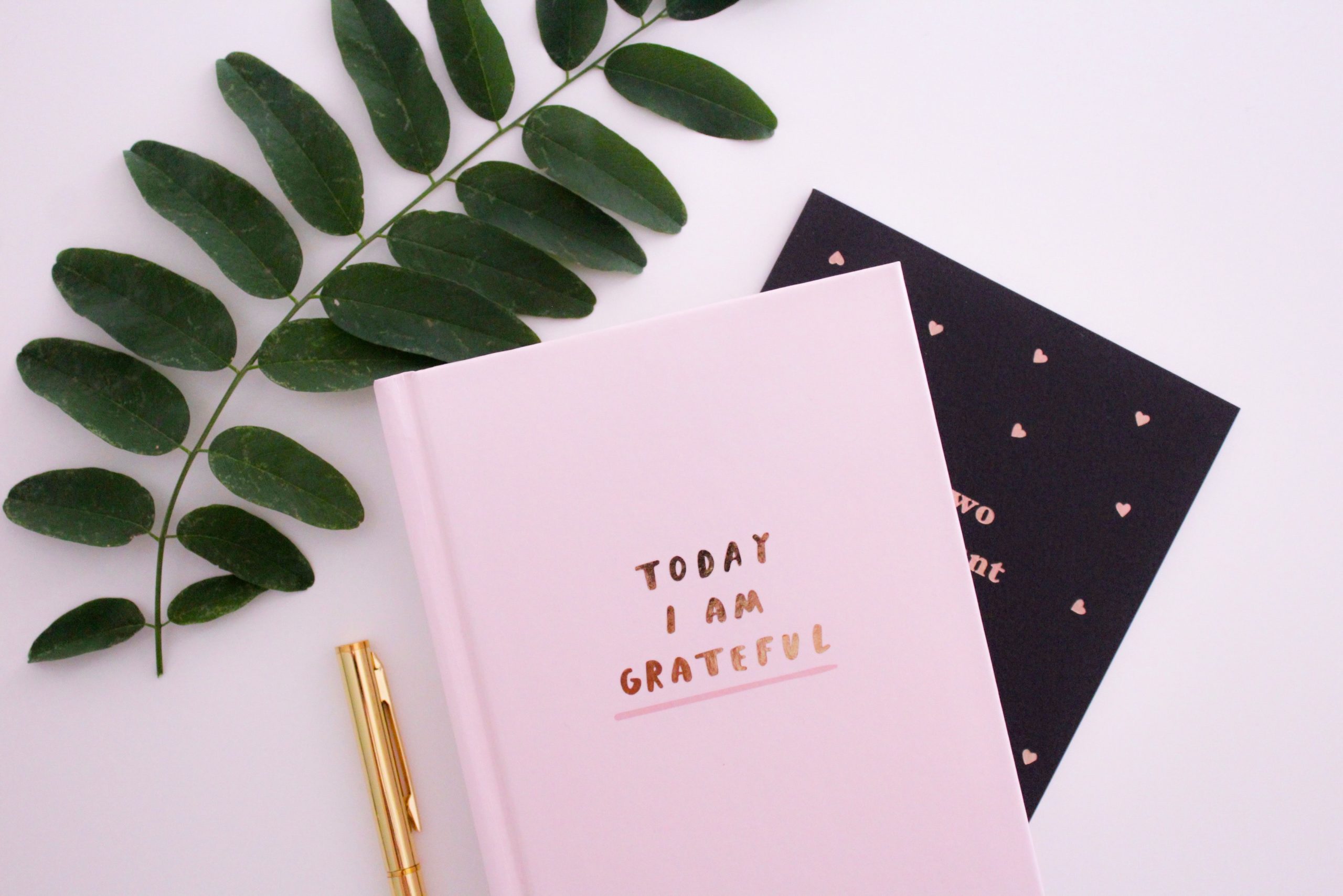 Gratitude Journal New Year, New Attitude of Gratitude (and There's an App for That)! Gina Hickey Contributor Miami Moms Blog