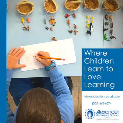 Alexander Montessori School Miami Mom Collective Private Schools Guide Alexander Montessori School Miami Mom Collective Private Schools Guide