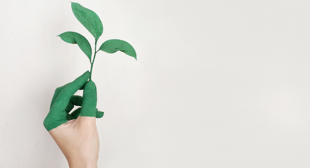 Eco-Friendlier Moms and Families: Quick Ways to Be a Little Greener Ana-Sofia DuLaney Contributor Miami Mom Collective