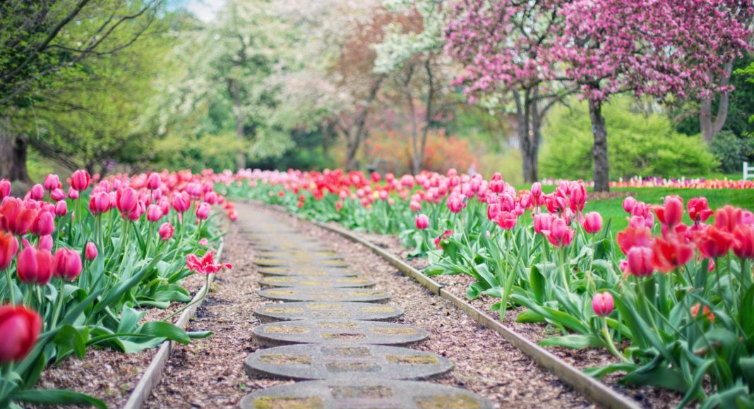 Springin' Into New Year: A Closer Look at Holi and Nowruz Sharon Sharifi Contributor Miami Moms Blog