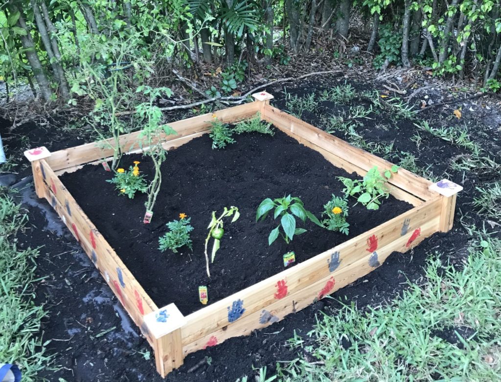 At Home Gardening, a Fun Hobby for You and Yours! Ana-Sofia DuLaney