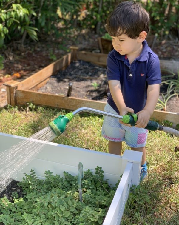 At Home Gardening - Ana-Sofia DuLaney