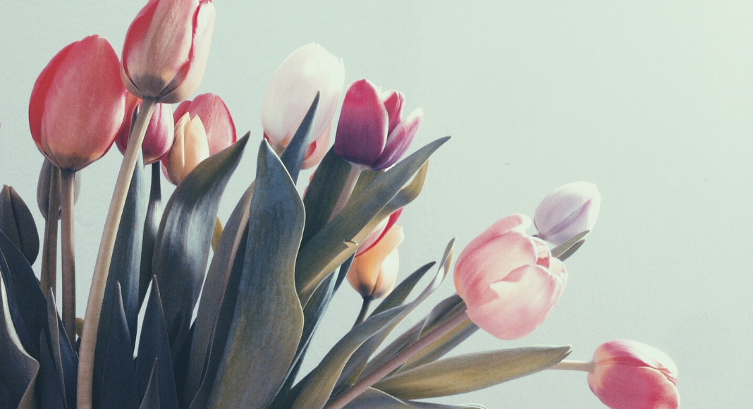 The Bad News, Sad News, and Glad News of Easter Lynda Lantz Contributor Miami Moms Blog