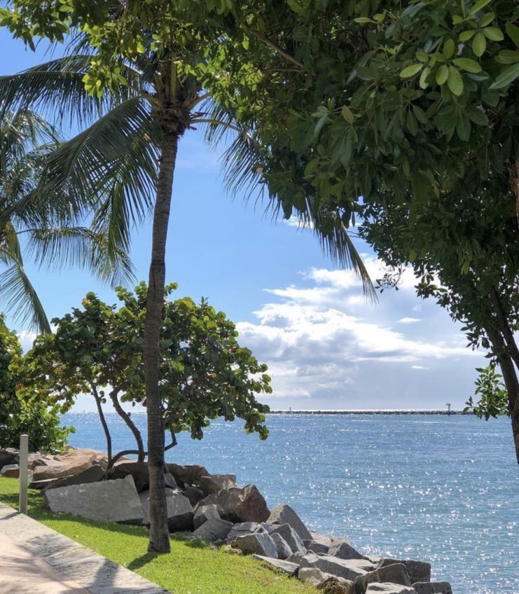 How to Restore Your Peace in a Storm | Tips to Calm Yourself 