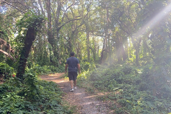 Indian Hammocks Park Krystal Giraldo Contributor Miami Moms Blog