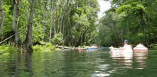 Ichetucknee Springs: Summer Fun at a Hidden Gem {Road Trip Series}