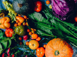 Fall Gardening Guide: Tips and Ideas for Gardening in Miami! Ana-Sofia DuLaney