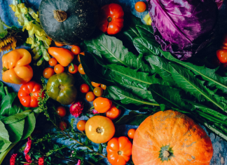 Fall Gardening Guide: Tips and Ideas for Gardening in Miami! Ana-Sofia DuLaney