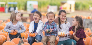 Fall Events & Activities Guide: Things To Do Around Miami Miami Mom Collective Becky Salgado