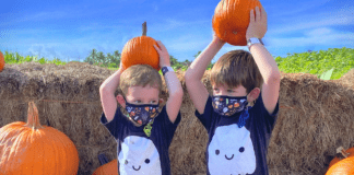 Halloween 2020: Creative Ways to Have Fun & Keep the Spirit Alive Stacey Geiger Contributor Miami Mom Collective