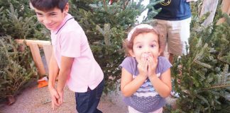 girl excited picking christmas tree