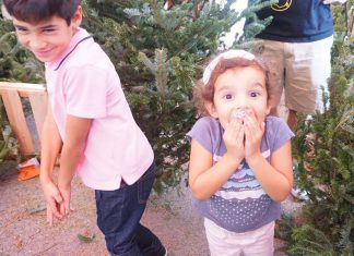 girl excited picking christmas tree
