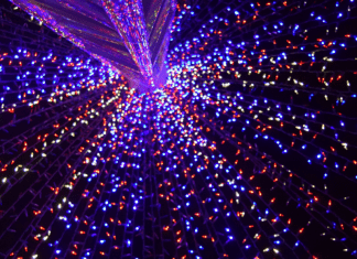 Christmas Lights: Where to Enjoy Some Holiday Magic in Miami Christmas Lights: Where to Enjoy Some Holiday Magic in Miami Vanessa Santamaria Contributor Miami Mom Collective