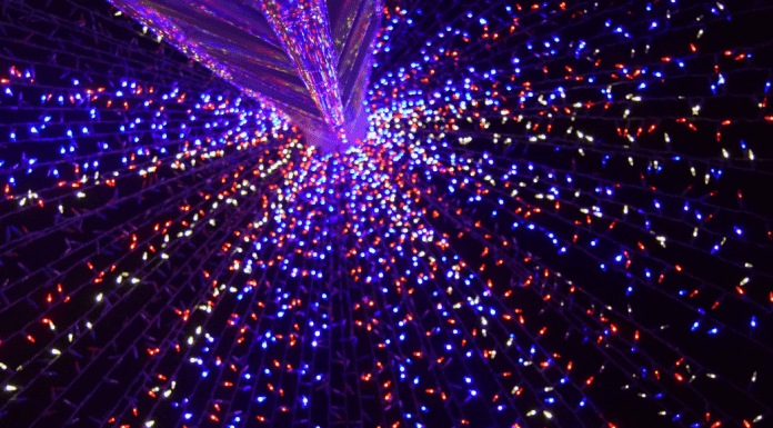 Christmas Lights: Where to Enjoy Some Holiday Magic in Miami Vanessa Santamaria Contributor Miami Mom Collective