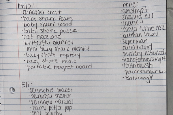 Minerva Roca Contributor Miami Mom Collective