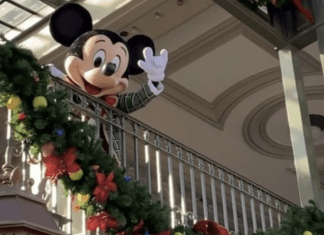 The Holidays at Walt Disney World: They're Alive, Even During COVID! Sandra Jacquemin Contributor Miami Mom Collective