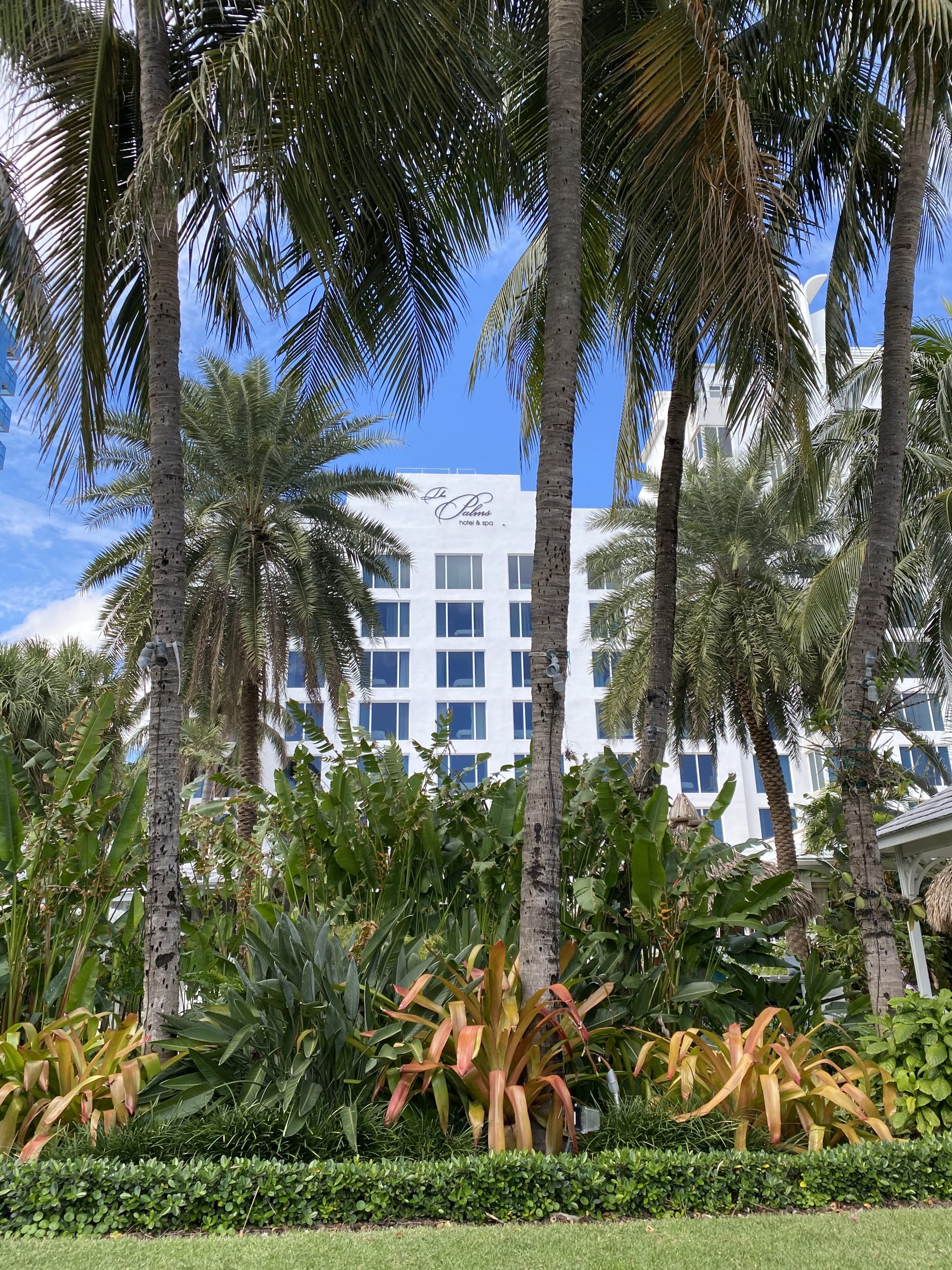 The Palms Hotel & Spa: Staycation or Vacation in Miami Beach Miami Mom Collective 
