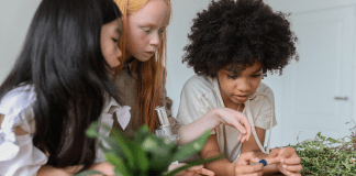 Girls working with plants (International Day of Women and Girls in Science Zoe Costa Contributor Miami Mom Collective)